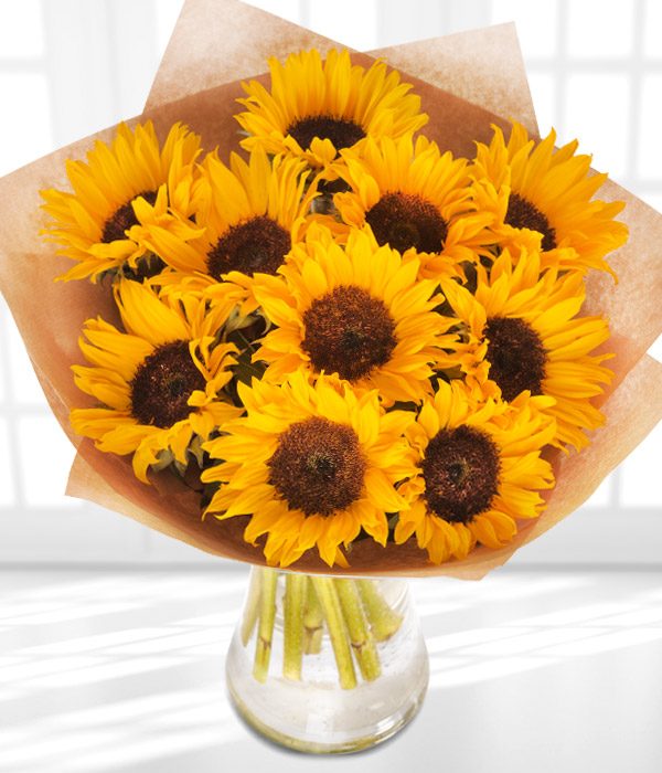 Raymonds Sunflowers