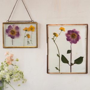 pressed flowers