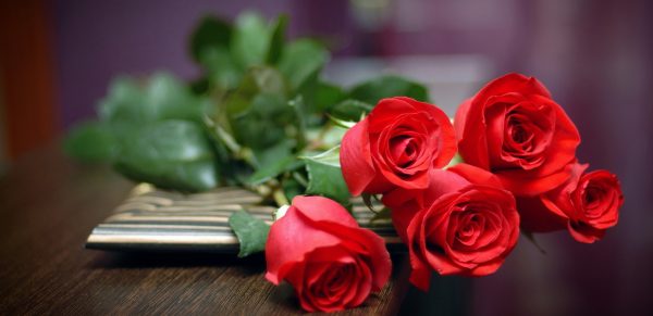 wonderful red roses