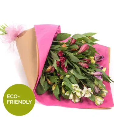 Wrp of Colour bouquet of fresh Alstroemeria flowers in shades of red, purple, and white, elegantly wrapped in eco-friendly brown and pink paper with a delicate pink ribbon. The bouquet has lush green foliage, enhancing the vibrant blooms. A green circular label in the corner highlights its eco-friendly packaging. Perfect for gifting on Mother’s Day or any special occasion, with delivery available across London.
