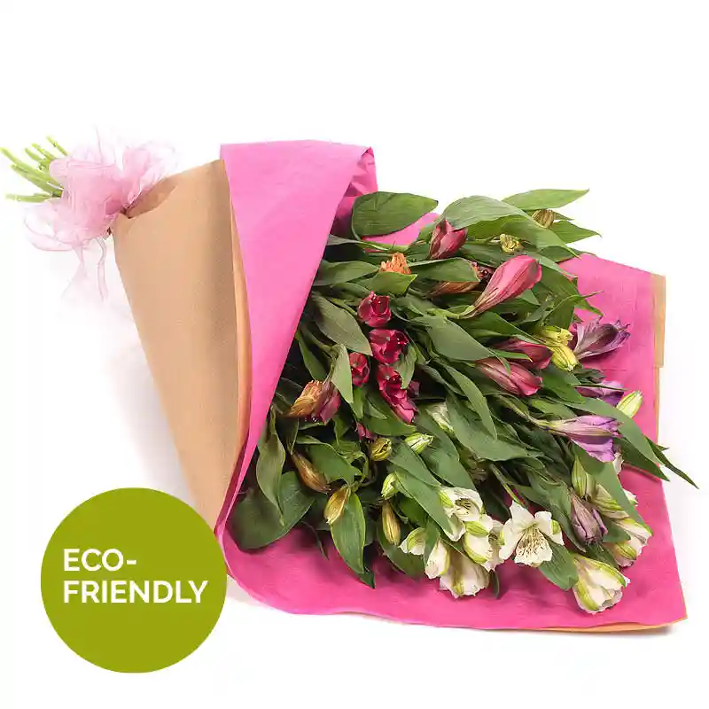 Wrp of Colour bouquet of fresh Alstroemeria flowers in shades of red, purple, and white, elegantly wrapped in eco-friendly brown and pink paper with a delicate pink ribbon. The bouquet has lush green foliage, enhancing the vibrant blooms. A green circular label in the corner highlights its eco-friendly packaging. Perfect for gifting on Mother’s Day or any special occasion, with delivery available across London.