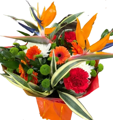 Discover the vibrant beauty of our Birds of Paradise bouquet at Sun Florist and Events. 🌺✨ Perfect for any occasion, this exotic arrangement adds a touch of tropical elegance to your celebrations. Order yours today and brighten your space with stunning floral artistry!" #BirdsOfParadise #SunFlorist #FloralDesign #TropicalFlowers #EventDecor