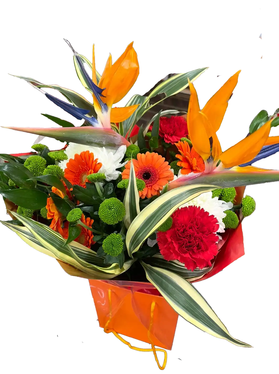 Discover the vibrant beauty of our Birds of Paradise bouquet at Sun Florist and Events. 🌺✨ Perfect for any occasion, this exotic arrangement adds a touch of tropical elegance to your celebrations. Order yours today and brighten your space with stunning floral artistry!" #BirdsOfParadise #SunFlorist #FloralDesign #TropicalFlowers #EventDecor